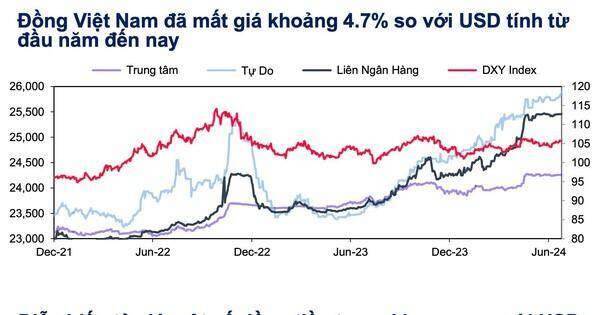 Chuyên gia: Tỷ giá USD/VND sẽ dao động trong khoảng 25.100