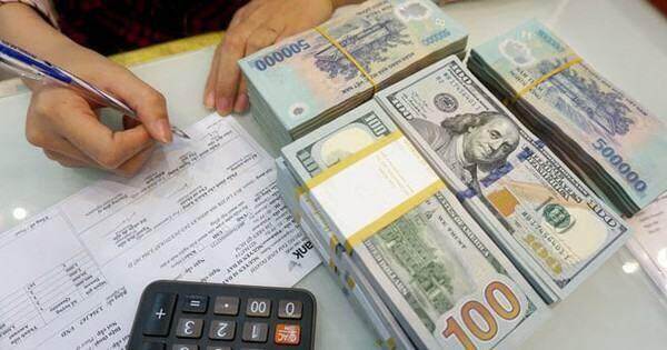 Thị trường đang ổn định, chưa cần can thiệp, nên giữ nguyên lãi suất tiền gửi USD 0%