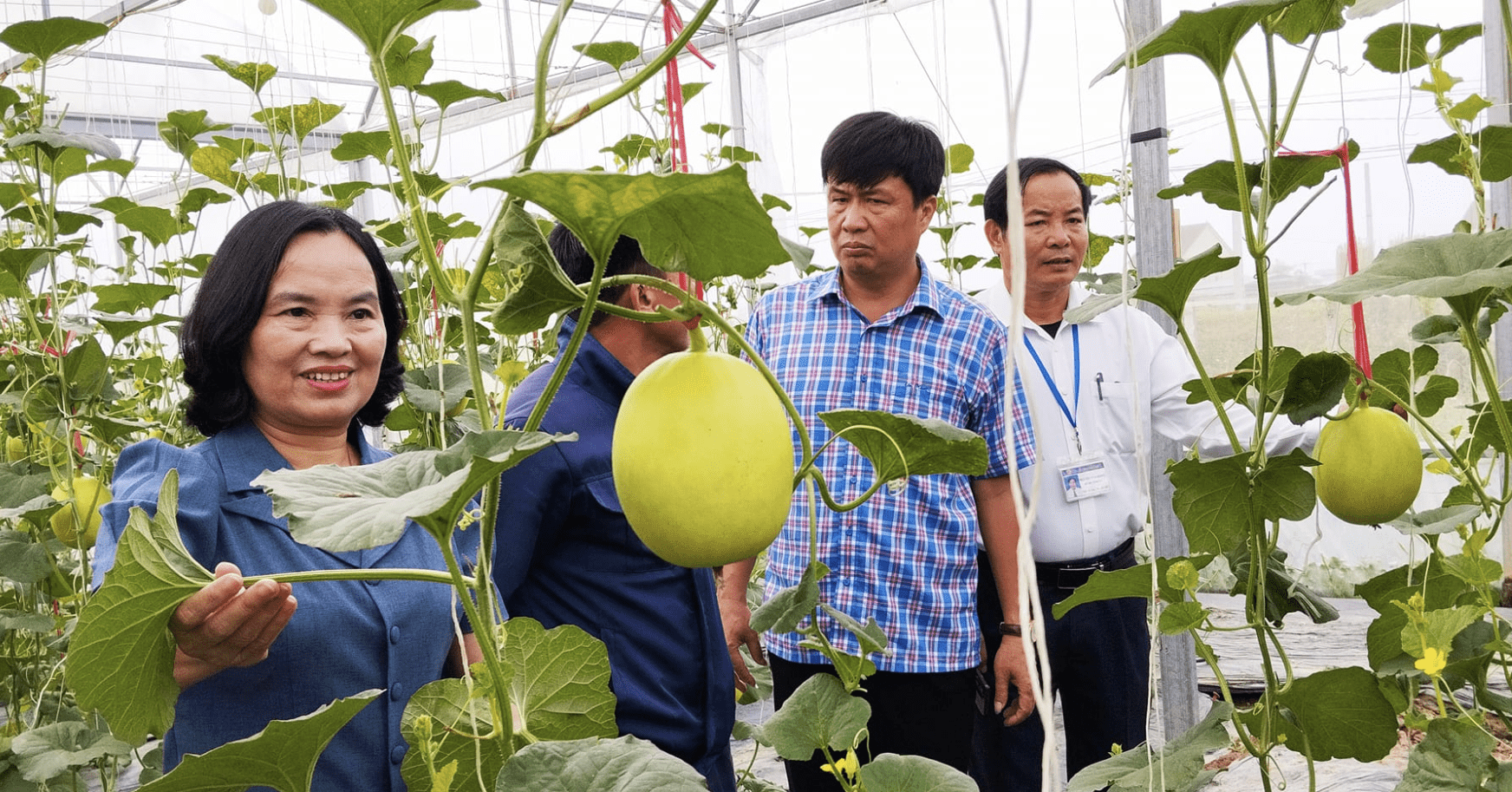 3 'chiêu' để hạn chế doanh nghiệp 'bẻ kèo', nông dân chạy làng