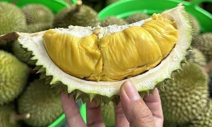 Durian exports hit $1.7B in 7 months