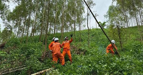 EVNNPC sẵn sàng nhiều phương án đảm bảo cung cấp điện dịp nghỉ lễ Quốc khánh 2.9