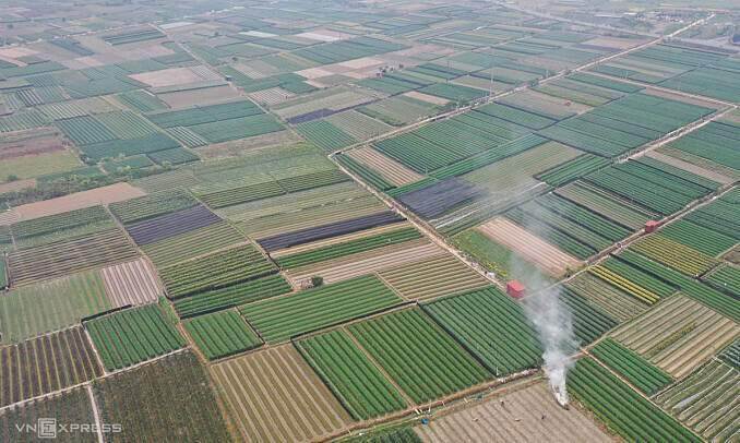Inheritance dispute emerges after land prices rise