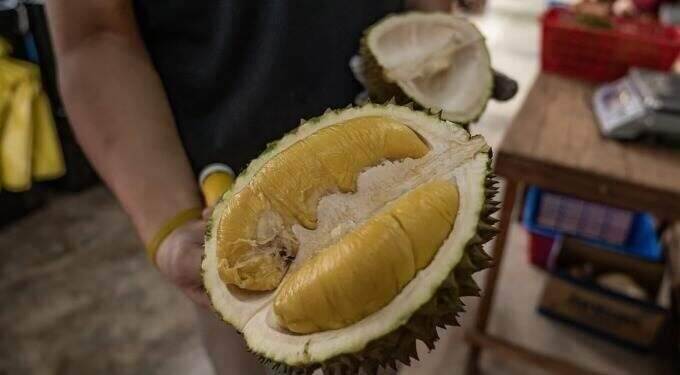Malaysian Musang King durians fetch premium rate in China 1 Malaysian Musang King durians fetch premium rate in China