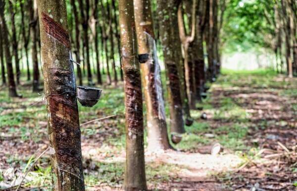 Rubber industry aims for quality and sound solutions