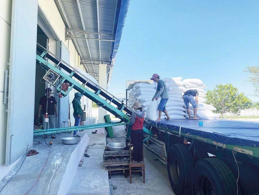 220 000 tấn gạo nhập kho dự trữ an toàn đảm bảo chất lượng