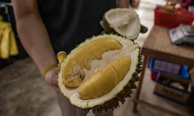Malaysia extends local intellectual property protection for Musang King durian until 2034