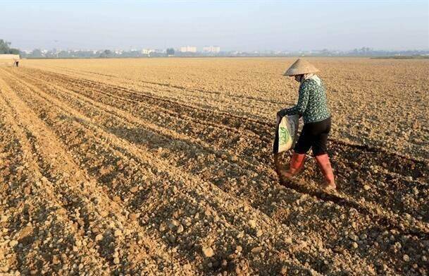 New land law opportunity to promote investment in green agriculture