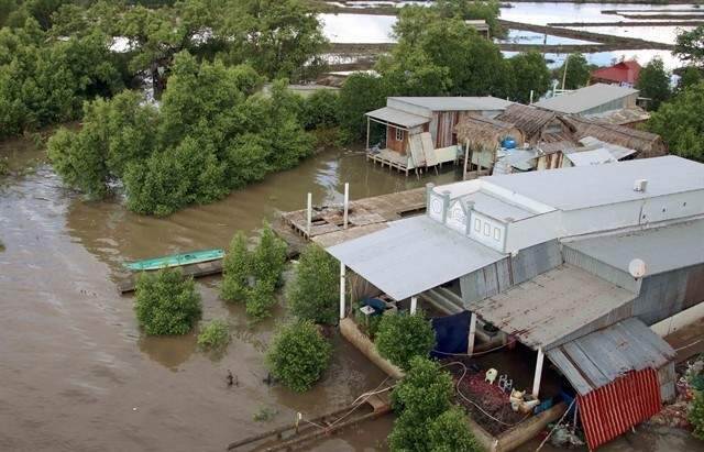 Việt Nam calls for int l cooperation in response to climate change