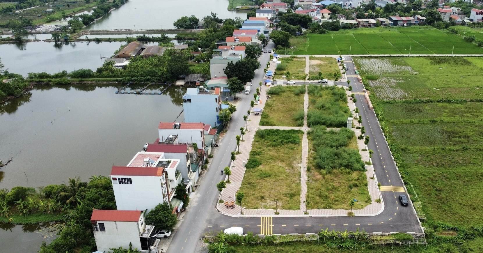 Phổ biến, mang tính tổ chức
