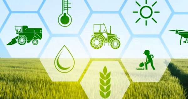 Đối tác nước ngoài trả giá cao cho sản phẩm sản xuất xanh, nhưng doanh nghiệp vẫn gặp khó