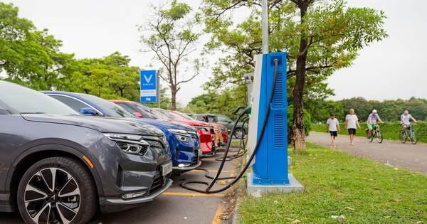 Chủ nhà hàng, cà phê, rửa xe... có thêm nghề mới