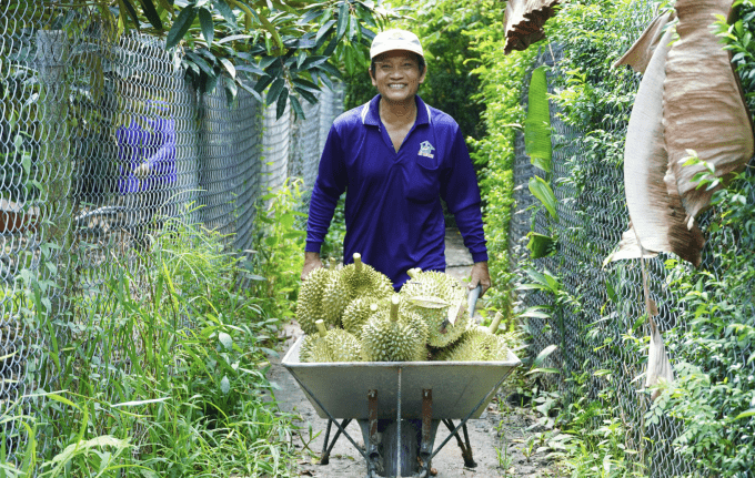 Durian drives fruit, vegetable exports to new record