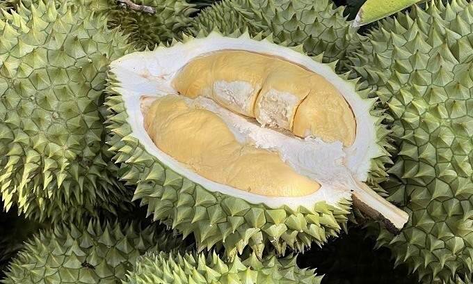 Durian prices increase - VnExpress International