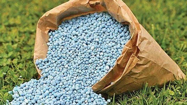 Nếu không được áp thuế VAT 5%, doanh nghiệp phân bón có nguy cơ suy giảm và ngừng sản xuất 6 Nếu không được áp thuế VAT 5%, doanh nghiệp phân bón có nguy cơ suy giảm và ngừng sản xuất