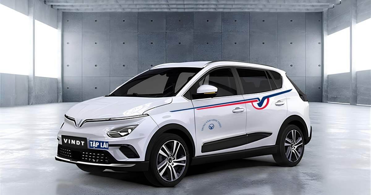 Ông Phạm Nhật Vượng thành lập công ty đào tạo và sát hạch lái xe thuần điện