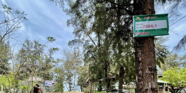 TPHCM chính thức ra quy định cấm phân lô bán nền