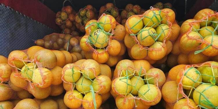 Bưởi Soi Hà giá 2.000 đồng/quả bán la liệt chợ, rẻ hơn cả hàng Trung Quốc