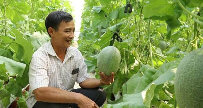 Đồng Nai phát triển nông nghiệp ứng dụng công nghệ cao