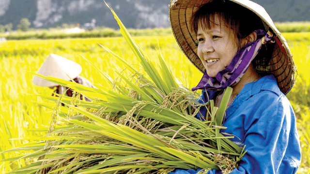 Giảm bất bình đẳng để phát triển bền vững