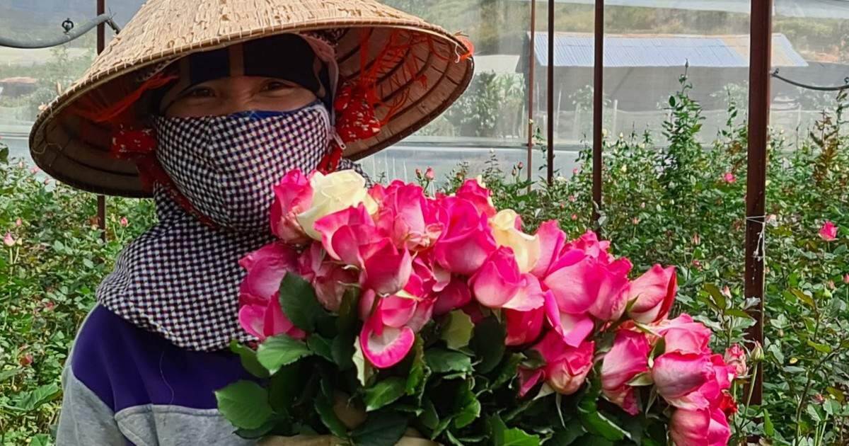 Hoa Đà Lạt tăng giá mạnh trước ngày Nhà giáo Việt Nam