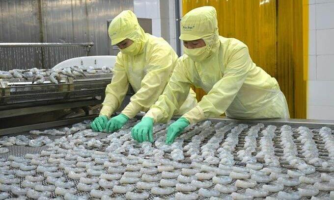 Shrimp exports surge 13% in 10 months