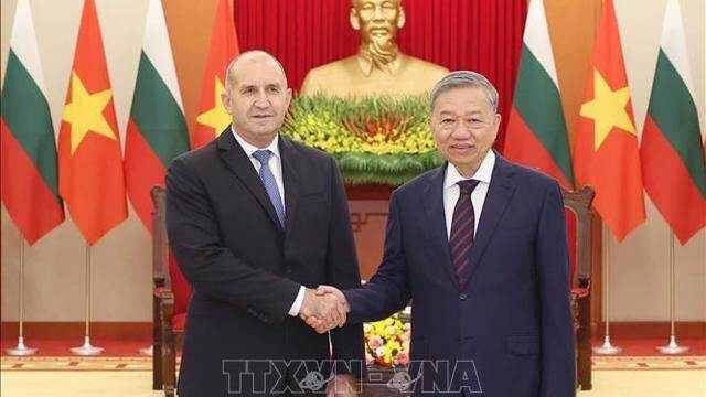 Tổng Bí thư Tô Lâm tiếp Tổng thống Bulgaria Rumen Radev 5 Tổng Bí thư Tô Lâm tiếp Tổng thống Bulgaria Rumen Radev