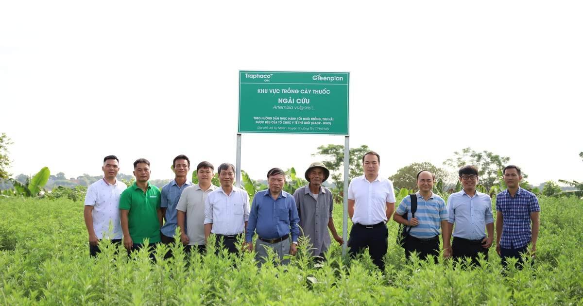 Traphaco tiếp tục thành công với Đông dược cao cấp và Tân dược chất lượng cao