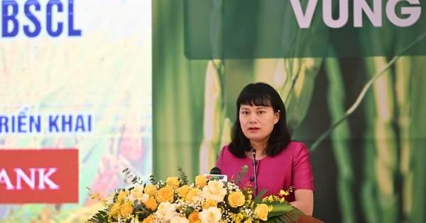 Agribank sẽ cho vay vốn ngắn, trung và dài hạn tại tất cả các khâu của Đề án 1 triệu ha lúa