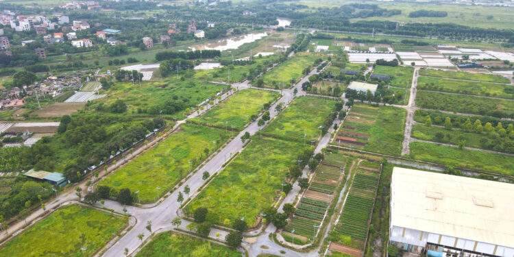 Đất một thôn ở Hưng Yên khởi điểm chưa đến 6 triệu/m2, đấu giá lên 110 triệu/m2