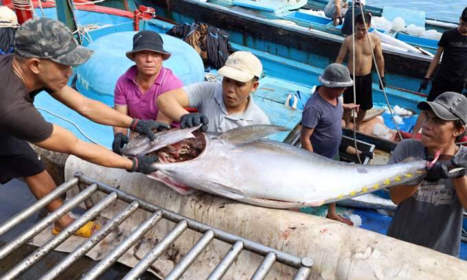 Agro-forestry-fisheries exports top $62B in 2024