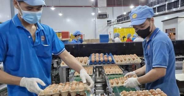 Doanh nghiệp TP.HCM tất bật lo hàng Tết, dồn lực chờ bùng nổ mua bán tháng Chạp