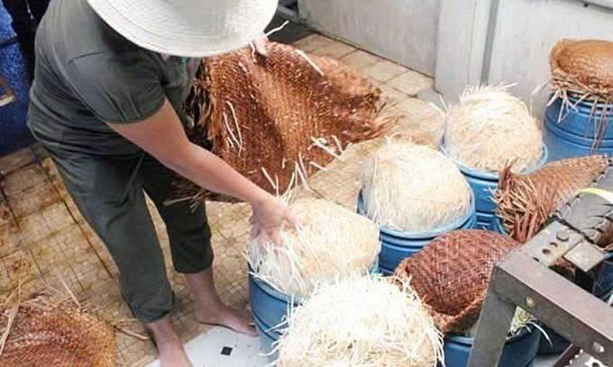 Retailer Bach Hoa Xanh recalls mung bean sprouts containing hazardous substance