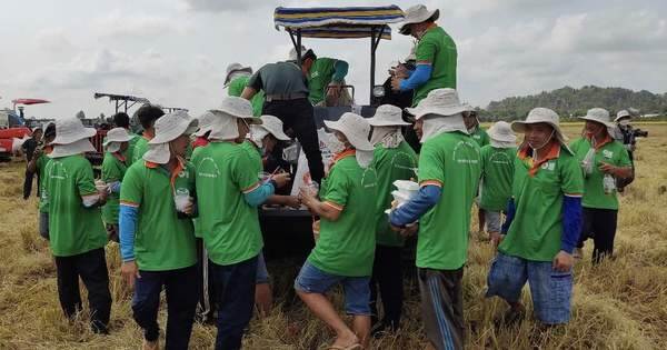Tập đoàn Lộc Trời bị Tổng cục thuế truy thu hơn 5 tỉ đồng