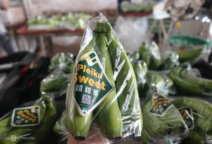 Vietnam becomes top banana supplier to China