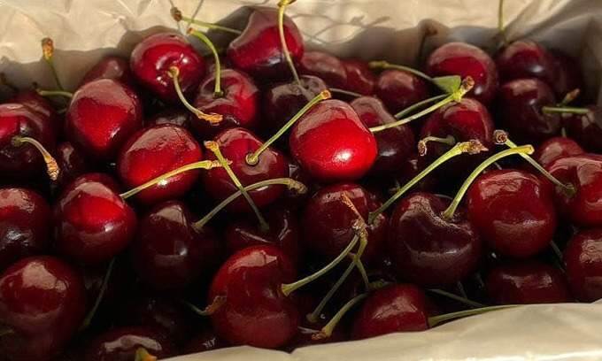 Cherries imported from New Zealand, Australia rise 35% to $80 per kilo ahead of Tet