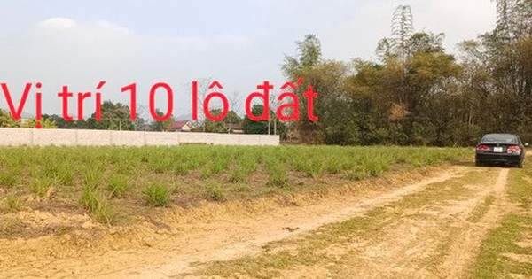 “Chỉ 120 triệu đồng/lô, sổ đỏ đầy đủ, rẻ hơn 1/3 giá của Shark Thuỷ”