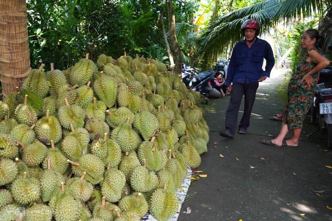 China says Vietnam durian, jackfruit shipments tainted