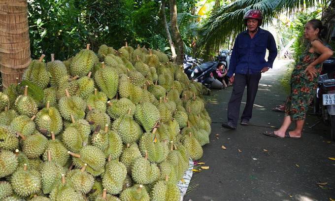 Public urged to save durian exporters with distress sales at $1.6 per kilogram