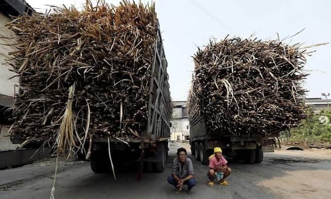 Thai businesses face up to $30M in losses from China’s syrup import ban