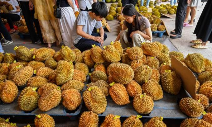 Thai durian exports to China hit snag due to carcinogen scrutiny