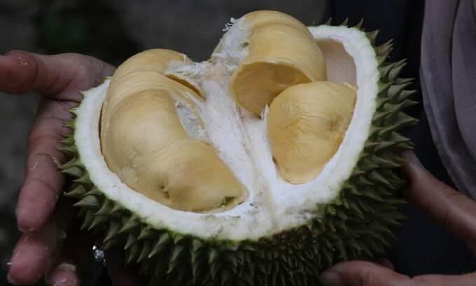 Vietnam eyes $8B in fruit, vegetable export value in 2025