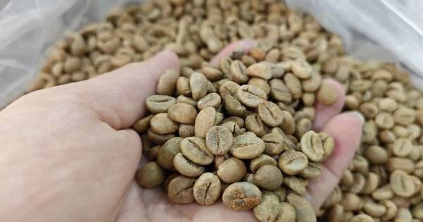Vừa tăng đã vội giảm 1 Vừa tăng đã vội giảm