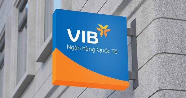 Lợi nhuận năm 2024 đạt 9.000 tỷ đồng, tăng trưởng tín dụng 22%