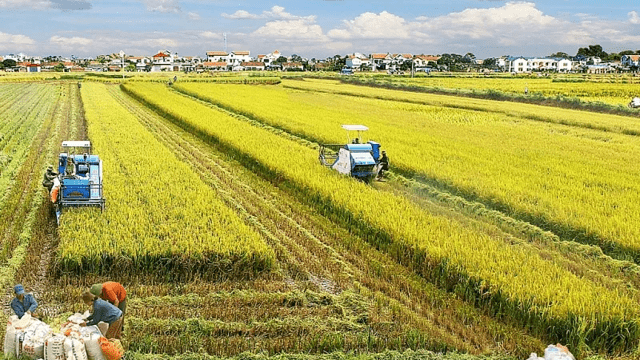 Bộ Tài chính đề xuất miễn tiền thuê đất lên tới 15 năm cho dự án đầu tư nông nghiệp