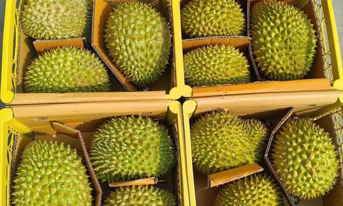Consumers warned about cheap ‘rescue’ durians rejected by China
