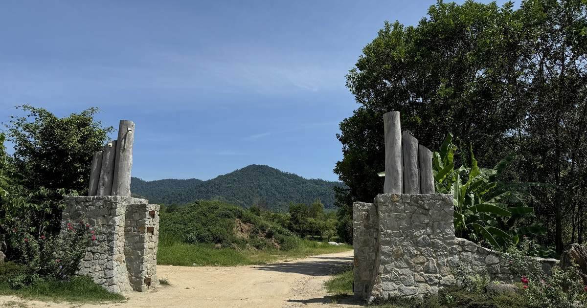 Gặp Đặng Lê Nguyên Vũ ở Sài Gòn