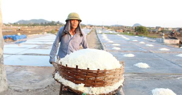Làm giàu từ hạt muối, trả nợ diêm dân 8 Làm giàu từ hạt muối, trả nợ diêm dân