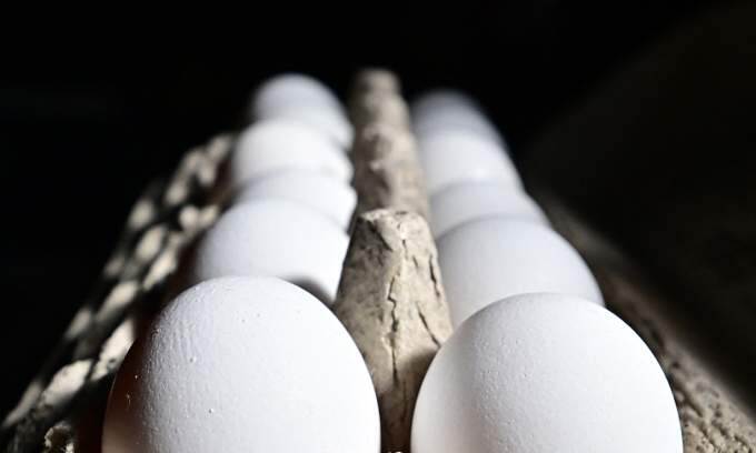 Quiz: How has US egg price changed in 20 years?