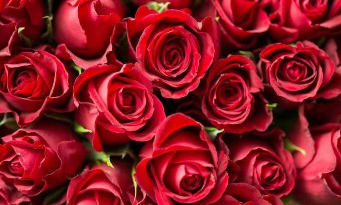 Valentine's spending in Thailand expected to rise 7.2%