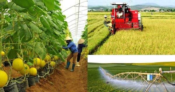 Đề xuất sửa quy định về chính sách tín dụng phục vụ phát triển nông nghiệp, nông thôn
